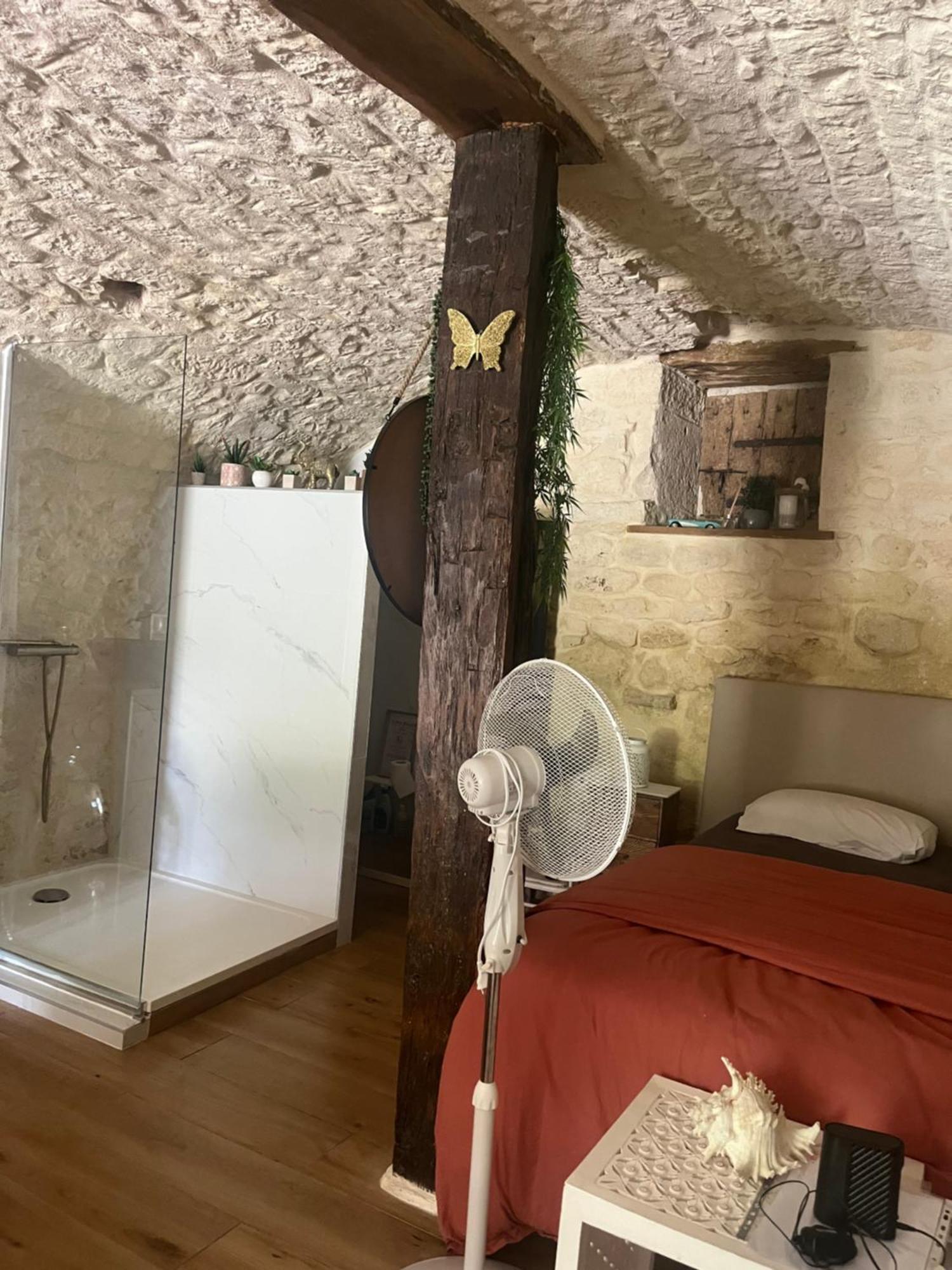 Voute Des Anges Type Loft Sans Cloison Leilighet Castelnau-Montratier Eksteriør bilde